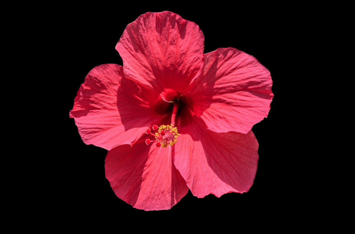 Slideshow Image 2