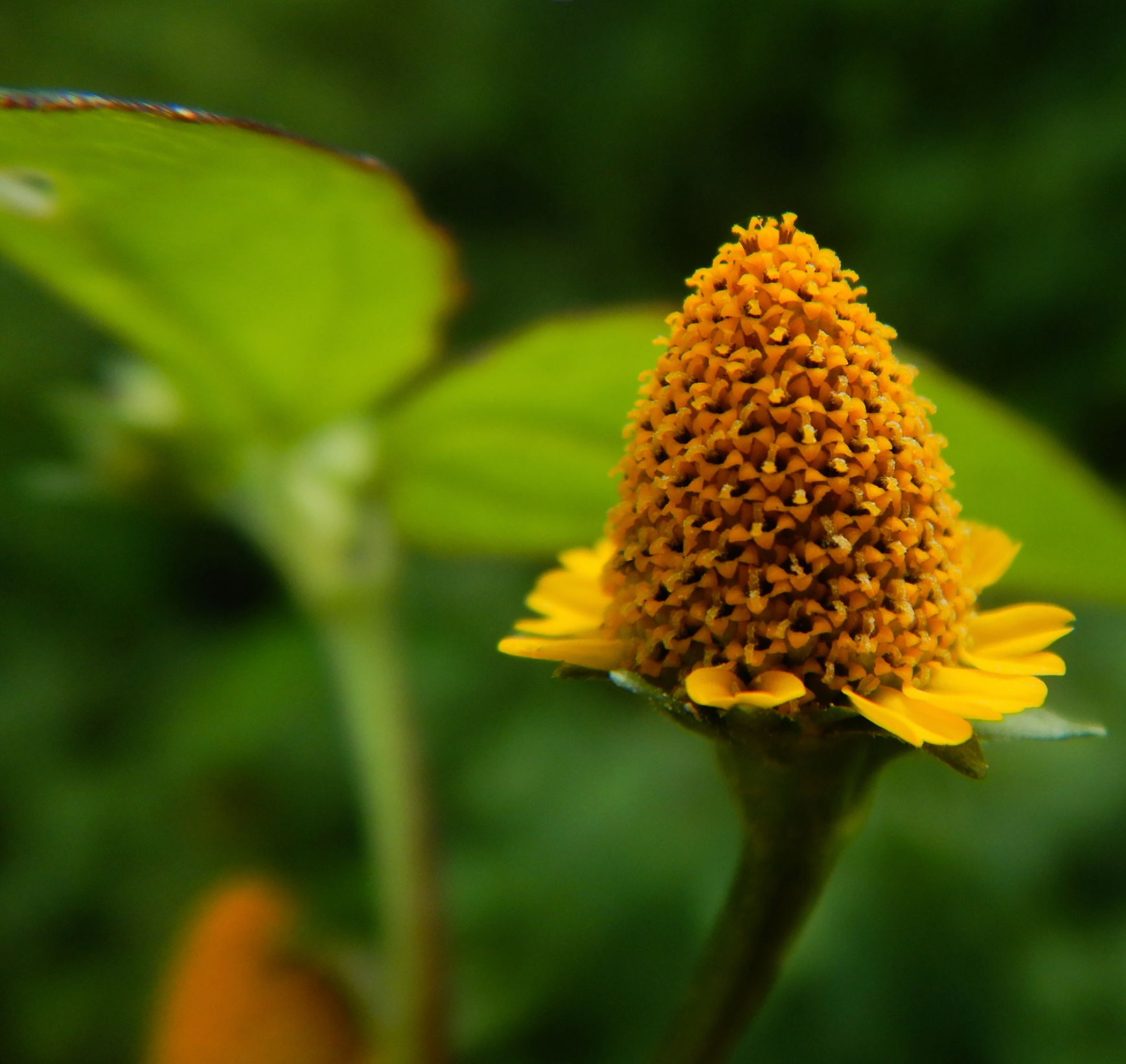 Slideshow Image 2