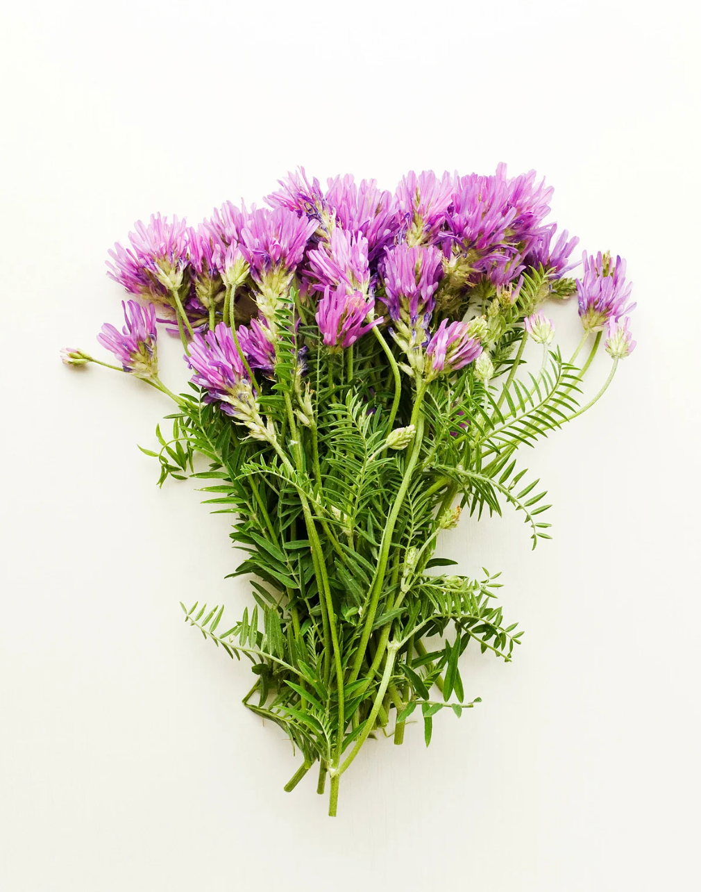 Slideshow Image 2